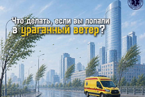 Ураганный ветер в мегаполисе: правила, которые важно знать